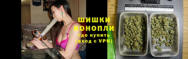 гидра Абаза