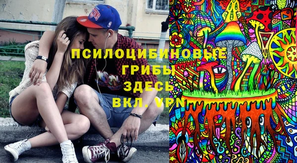 гидра Абаза