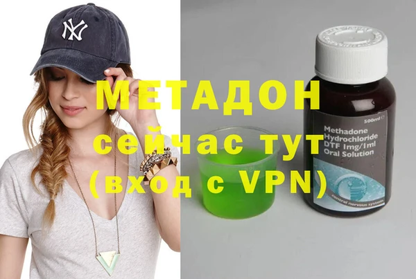 гидра Абаза