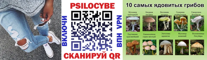 Псилоцибиновые грибы GOLDEN TEACHER ссылка на мегу tor Руза