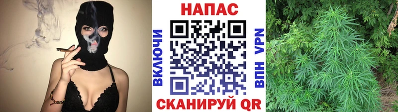 Каннабис MAZAR Руза